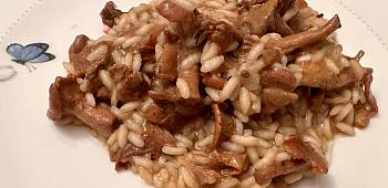 ������� � ���������